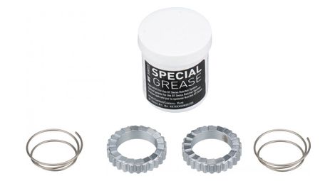 Kit de servicio DT Swiss Ratchet 18 dientes H240 / 240S / FR / 440