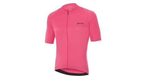 Maillot manches courtes spiuk anatomic rose