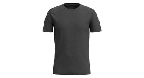 Camiseta tecnica smartwool merino gris para hombre