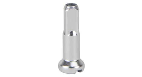 Ecrou de rayon excess gris polish