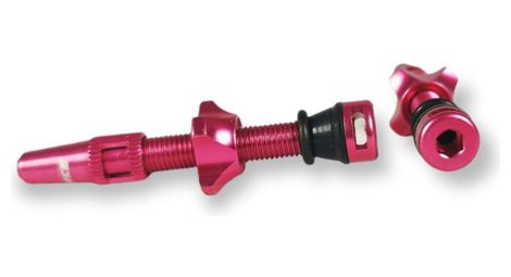 Paire de valves tubeless ice airflow 44 mm fuchsia