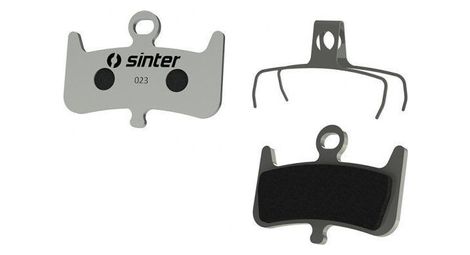 Plaquette Sinter 23 - Hayes/Dominion A4