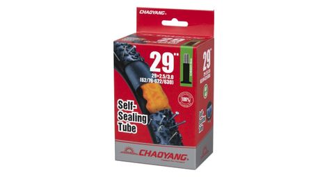Chambre chaoyang 29x2,50/3,00 mastic schrader 48mm