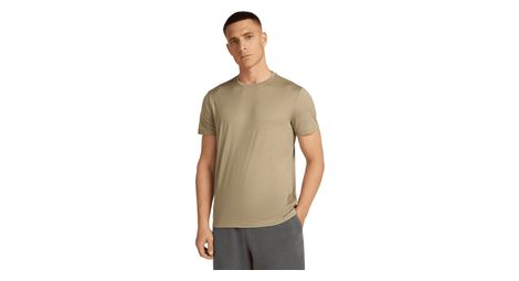 T-shirt Icebreaker Merino 150 Tech Lite Marron Homme