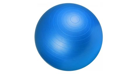 Swiss ball ballon de gym tailles 55 cm 65 cm 75 cm couleur bleu diametre 65 cm