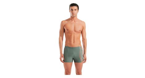 Maillot de Bain Arena Basic Vert Homme