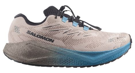 Salomon Aero Blaze 4 GRVL GTX hardloopschoenen voor heren, beige/blauw