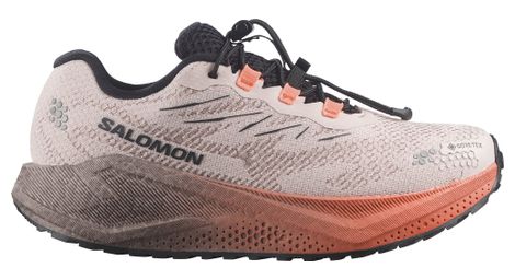 Salomon Aero Blaze 4 GRVL GTX hardloopschoenen voor dames, beige/roze