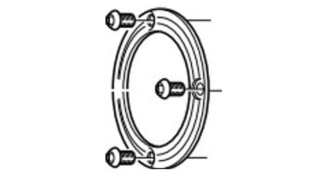 Campagnolo couvercle + vis pour moyeu arriere eurus/shamal