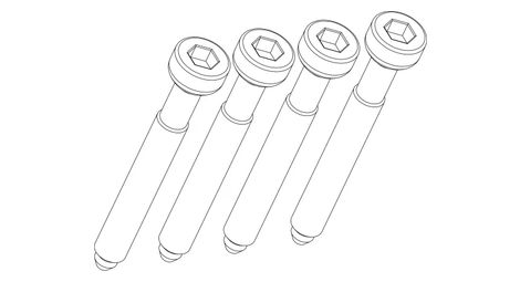 Pack de 4 Vis M6 x 44 pour Porte-Bébé sur Cadre Thule