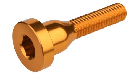 Vis de capot de direction burgtec top cap bolt orange