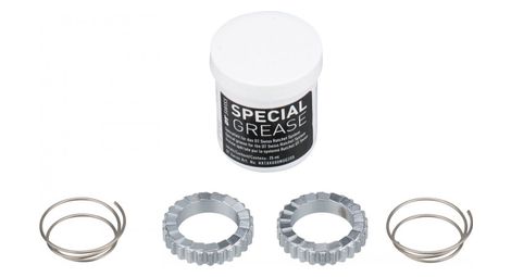 Service kit dt swiss ratchet 36 teeth