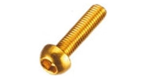 woodman pack of 4 bottle cage bolt gold