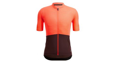 Maillot de manga corta santini colore riga azul/negro s