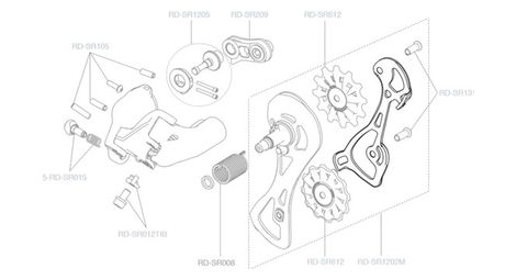 Gabbia interna Campagnolo Chorus / Super Record 12V (senza rulli)