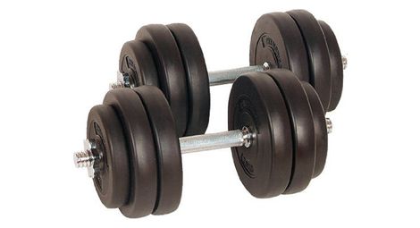 Lot de 2 haltères courts poids 30 kg (2 x 15 kg) avec disques set musculation fitness biceps