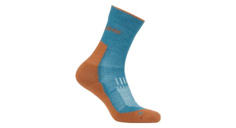 Chaussettes Icebreaker Merino Hike+ Crew Vert Homme