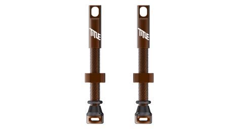 Paire de Valves Tubeless Title Presta Bronze