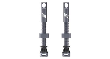 Paire de Valves Tubeless Title Presta Gris