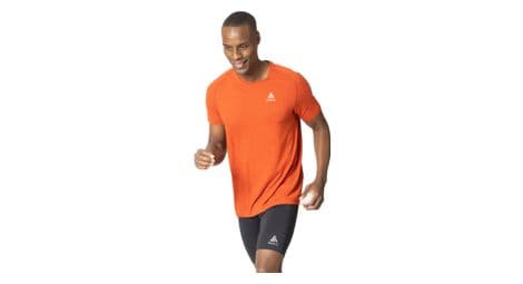 Maillot manches courtes odlo essential seamless orange