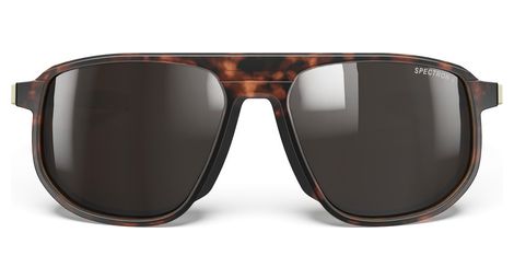 Ward Spectron 3 Polarized Braun Grau