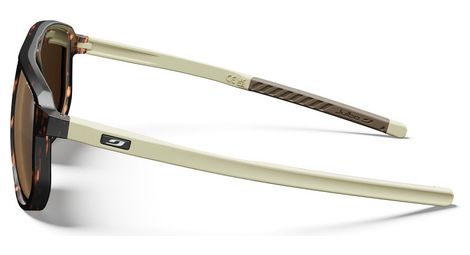 Ward Spectron 3 Polarized Braun Grau
