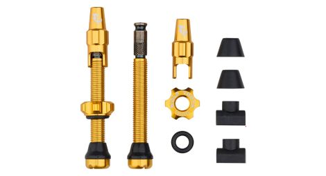Valves tubeless wolf tooth avec clik valve or