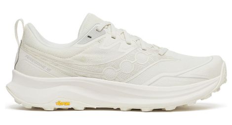 Chaussures Trail Saucony Peregrine 16 GTX Blanc Homme