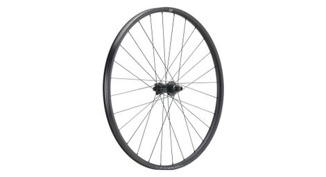 Roue Arrière Newmen Forge 30 Light 29'' | Boost 12x148 mm | 6 Trous