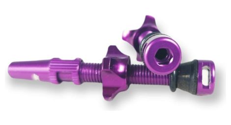 Paire de valves ice airflow tubeless 44 mm violet