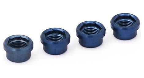 Rennen regular blue chimney screws (x4)