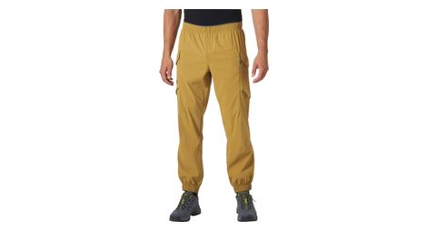 Helly hansen vista hike pants brown l