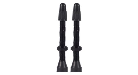 Paire de valves tubeless wtb tcs brass presta valve noir