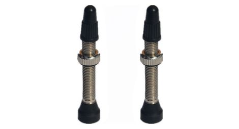 Paire de valves tubeless progress pg-716 presta 44mm argent