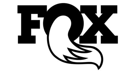 Kit Protection Fourche RAD x Monkey's pour Fox 34 année 2024