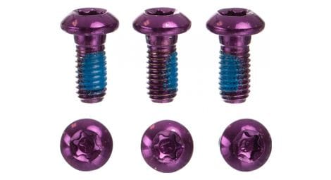 Tornillo de disco de acero inoxidable neatt m5x10 mm púrpura (x6)