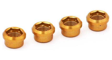 Vis cheminees rennen regular or x4