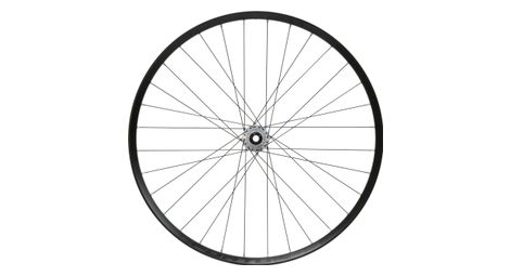 Roue avant hope fortus 35w pro 5 29 boost 15x110 mm 6 trous argent