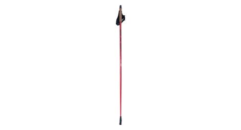 Batons de marche nodique sport 30 carbone taille 115
