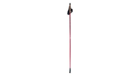 Batons de marche nodique sport 30% carbone, taille 105