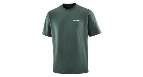 Camiseta de manga corta Salomon Freestyle Verde Unisex