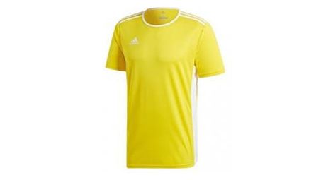 T shirt adidas entrada 18 jsy