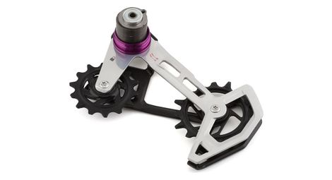 Sram xx t-type eagle axs derailleurkooi