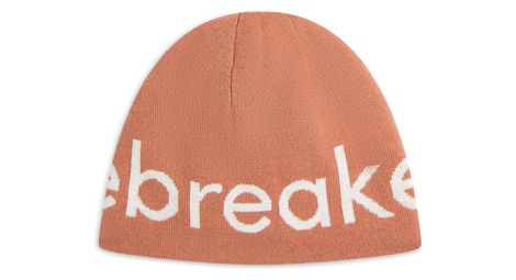 Bonnet unisexe icebreaker merino marron