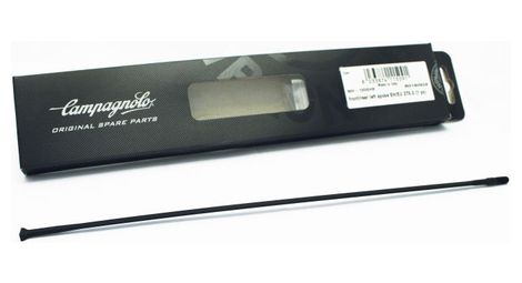 Rayon avant campagnolo shamal ultra