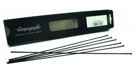 Mini kit rayons campagnolo neutron