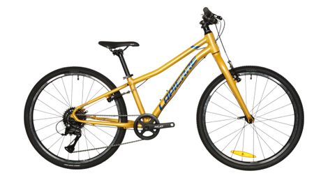 Lapierre Prorace 24 SL Kinder-Mountainbike, Shimano Acera 8-Gang, 24-Zoll, 130/155 cm – Generalüberholtes Produkt
