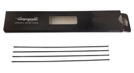 Lot de 4 rayons arriere gauche campagnolo scirocco 35