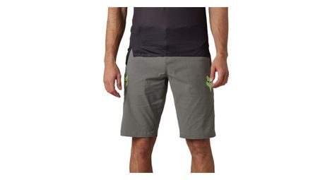 Short fox ranger race gris