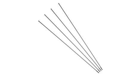 Lot de 4 rayons arriere gauche campagnolo khamsin g3